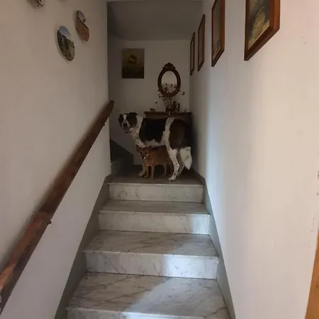 Holiday home Apartament Zeus Mountain San Marcello Piteglio