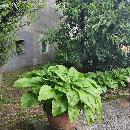 Holiday home Apartament Zeus Mountain *