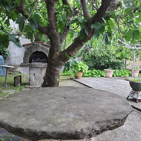 Apartament Zeus Mountain Holiday home
